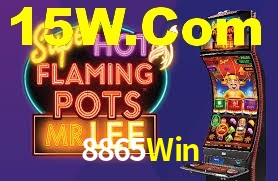 8865Win App Interface