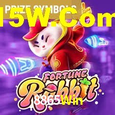 Premium Interface 8865Win