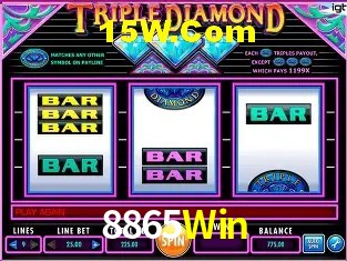 8865Win - User Statistics